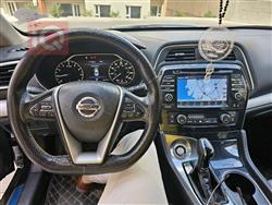 نيسان ماكسيما